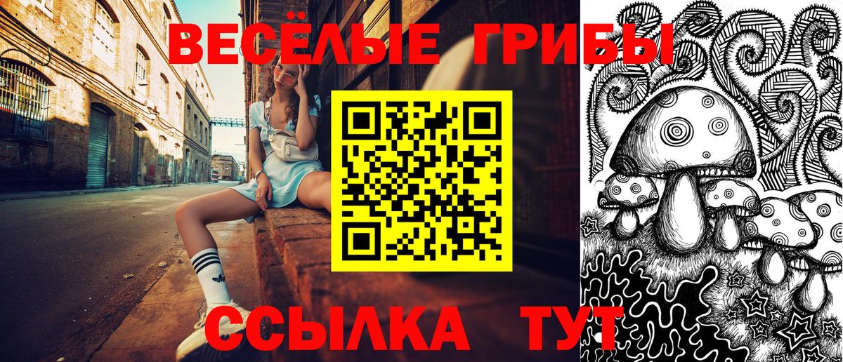 Аша  Галлюциногенные грибы ЛСД  Вход с VPN 
